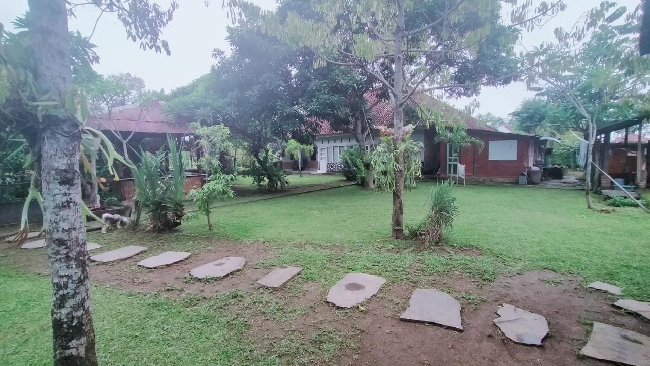 Esa Di Kubu Homestay Singaraja Buitenkant foto