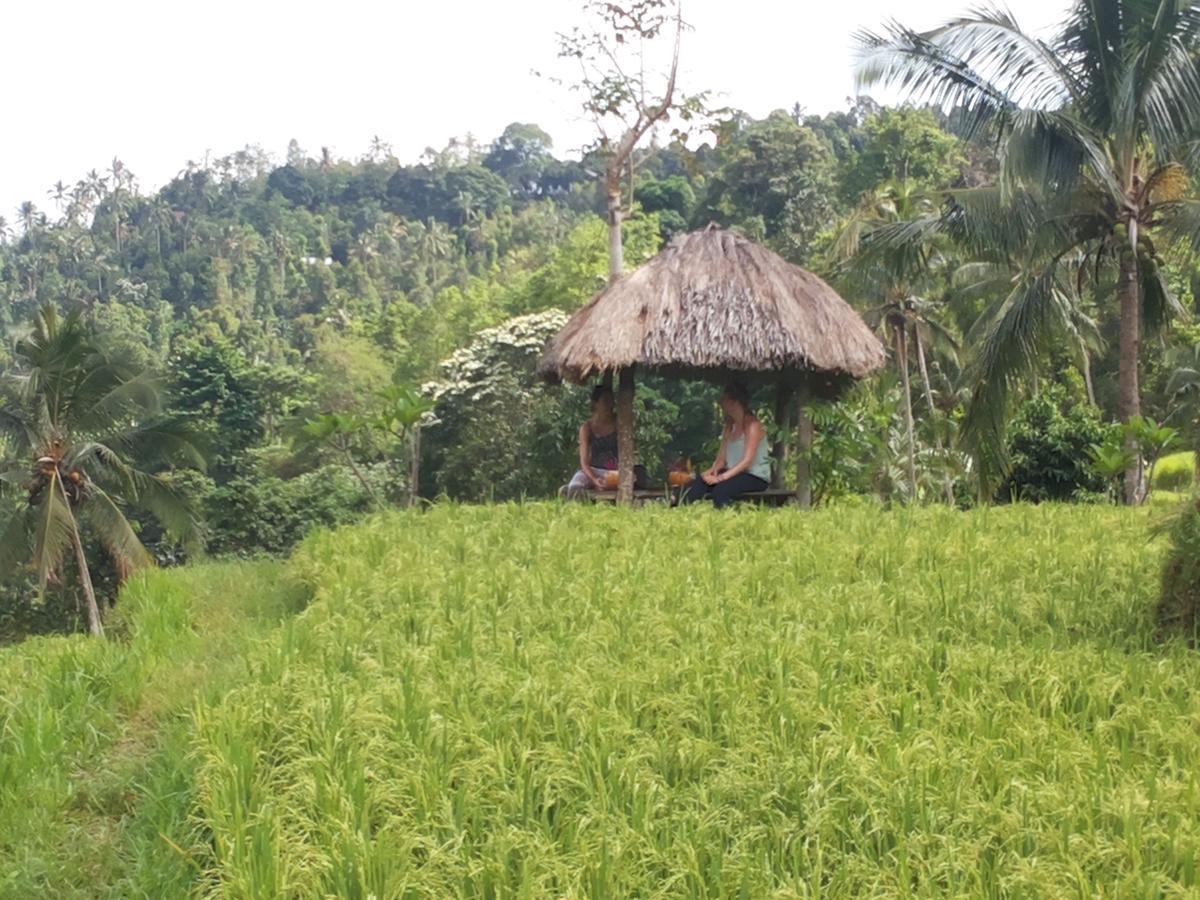 Esa Di Kubu Homestay Singaraja Buitenkant foto