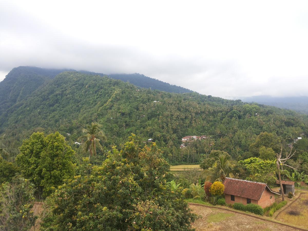 Esa Di Kubu Homestay Singaraja Buitenkant foto