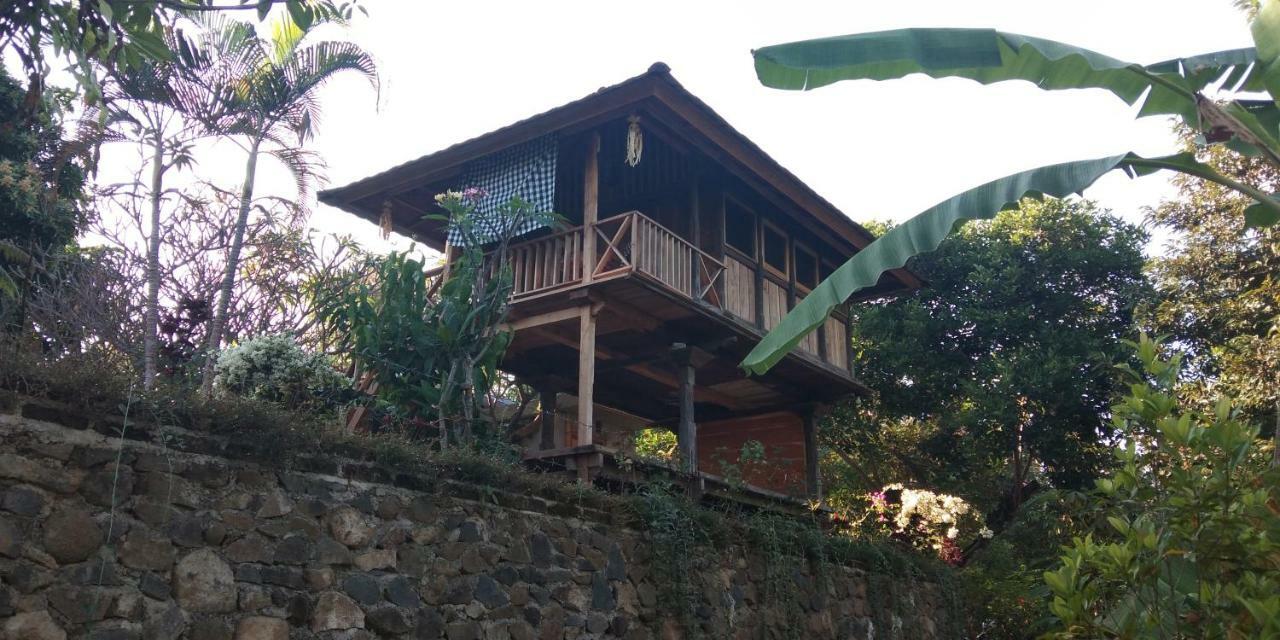 Esa Di Kubu Homestay Singaraja Buitenkant foto
