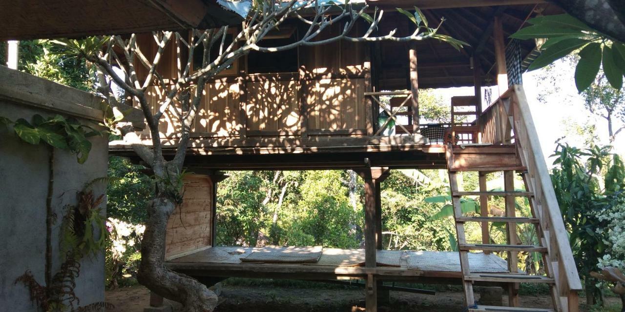 Esa Di Kubu Homestay Singaraja Buitenkant foto