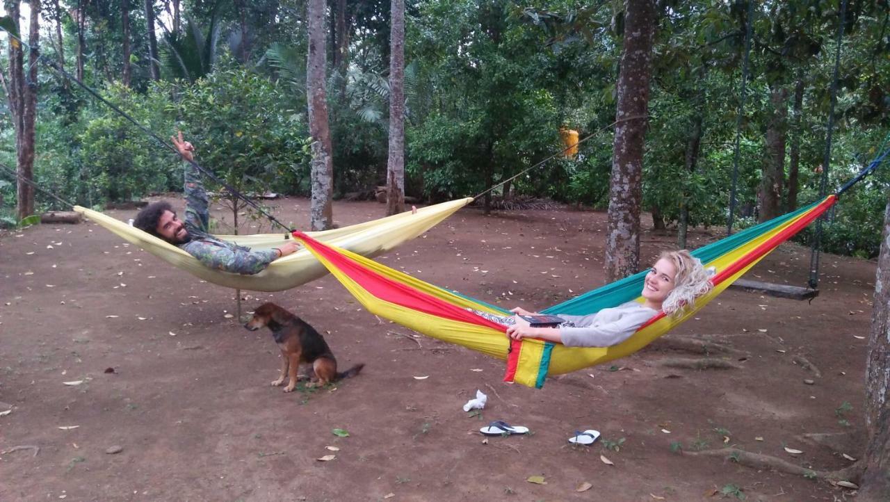 Esa Di Kubu Homestay Singaraja Buitenkant foto
