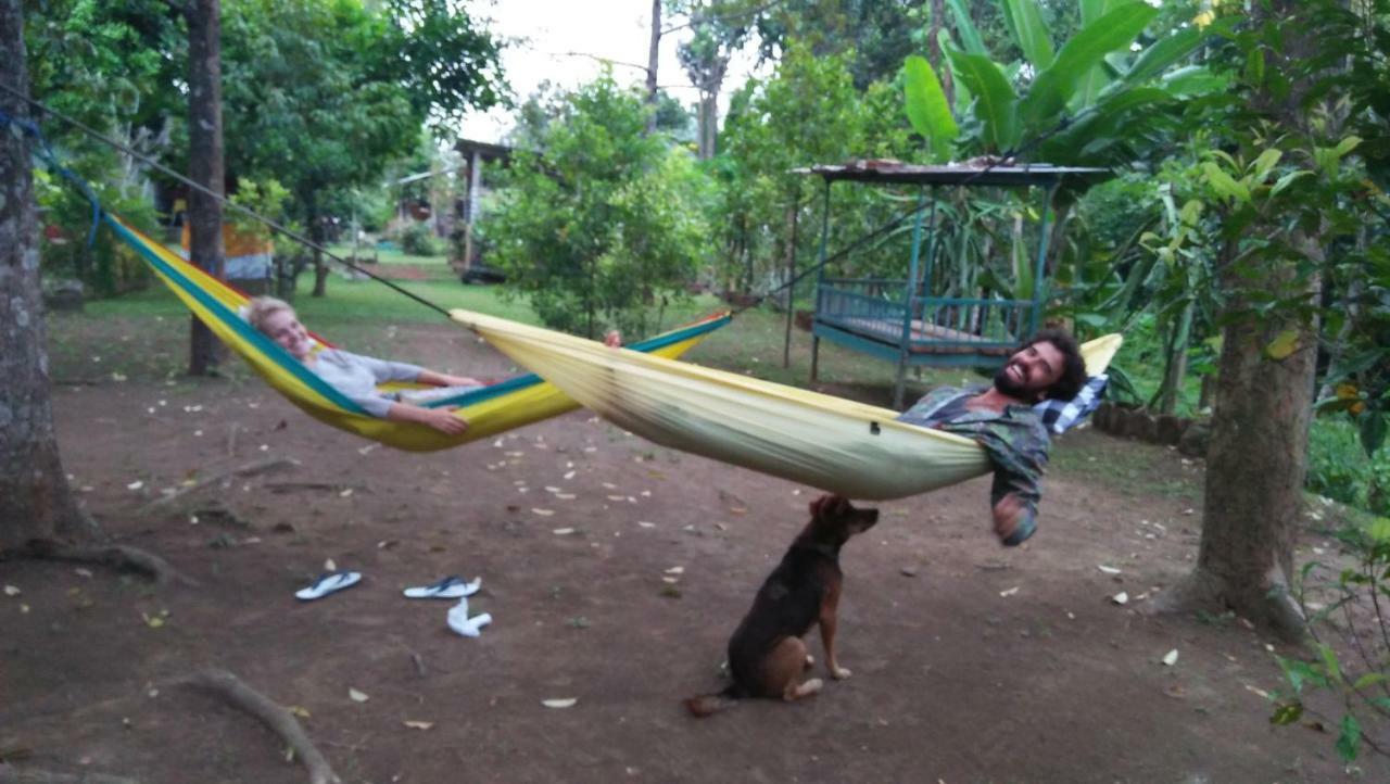 Esa Di Kubu Homestay Singaraja Buitenkant foto