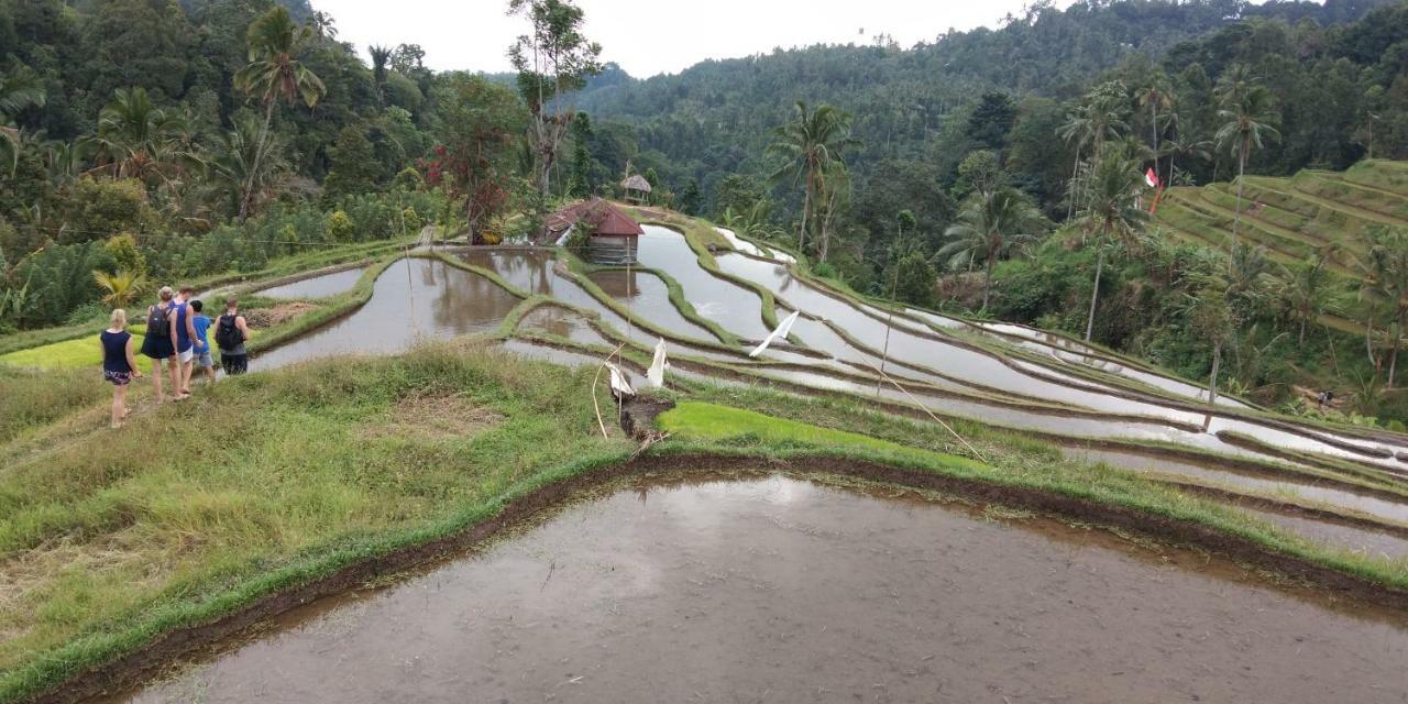 Esa Di Kubu Homestay Singaraja Buitenkant foto