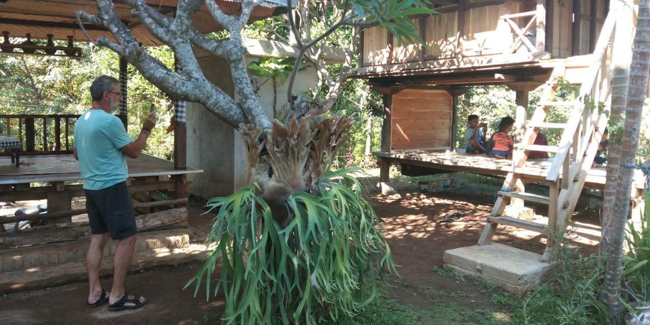 Esa Di Kubu Homestay Singaraja Buitenkant foto
